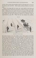 Henry Stephens, The Book of the Farm (First Edition 1844 in Three Volumes)