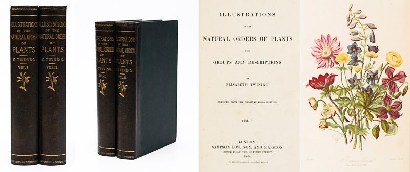 Twining, Illustrations of the Natural Orders of Plants With Groups and Descripti