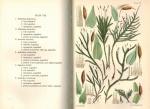 Berkeley, Handbook of British Mosses; comprising all that are known to be Natives of The British Isles.
