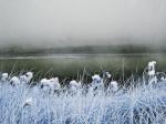 Crespo, Ulrike Crespo - Cold Landscape.