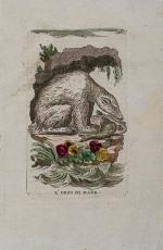 [Anonymous], Collection of Animal Prints from Italy.