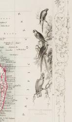Tallis, Australiawith beautiful Vignettes and illustrations of Natives