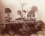 [Himalaya / Darjeeling]. Collection of two (2) 19th century photographs of traditional tourist locations in Darjeeling