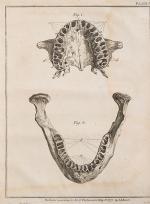 John Hunter - Historia naturalis dentium humanorum - Natuurlyke historie der tan