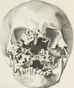 Goldschmid – Entwicklung und Bibliographie der Pathologisch-Anatomischen Abbildung.