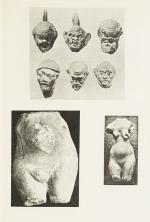 Goldschmid – Entwicklung und Bibliographie der Pathologisch-Anatomischen Abbildung.