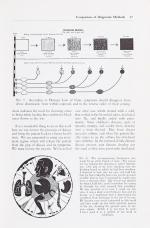 Jensen, The Science and Practice of Iridology.