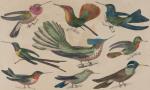 Oliver Goldsmith, A History of The Earth and Animated Nature
