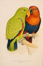 The Speaking Parrots – A Scientific Manual [With all eight (8) chromolithographi