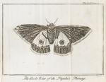 [Noël-Antoine Pluche] / [Humphreys, Spectacle de la Nature : Or, Nature Display’d