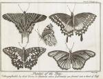 [Noël-Antoine Pluche] / [Humphreys, Spectacle de la Nature : Or, Nature Display’d