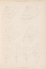 Newlands, The Carpenter And Joiner’s Assistant (Vintage 19th century Edition)