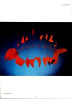 [Calder, Derrière Le Miroir N°248 – Octobre 1981 