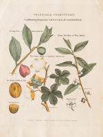 John Payne – Universal Geography – Formed Into A New And Entire System; Describing Asia, Africa, Europe And America