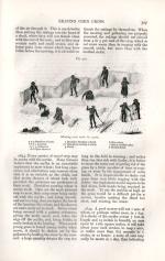 Henry Stephens – The Book of the Farm – Detailing The Labours of the Farmer, Farm-Steward, Ploughman, Shepherd, Hedger, Farm-Labourer, Field-Worker and Cattleman.