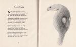 Mortimer, Some Queer Animals [Illustrated Poems].