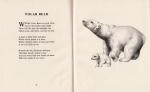 Mortimer, Some Queer Animals [Illustrated Poems].