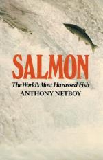 Netboy- Salmon. The World's Most Harassed Fish