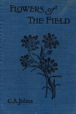 Johns, Flowers of the Field.