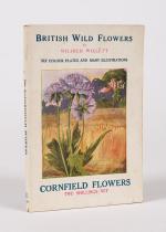 Willett, British Wild Flowers and their Garden Varieties – Cornfield Flowers.