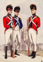 [The 23rd London Regiment] [Field-Marshal Viscount Allenby (Foreword)] The Times