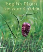 Jill Duchess of Hamilton / Hart, English Plants for your Garden.