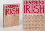 O Siadhail Micheal. Learning Irish.