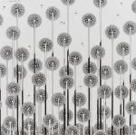 Jim Wilson, “Dandelions”.