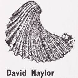 Dave Naylor Collection