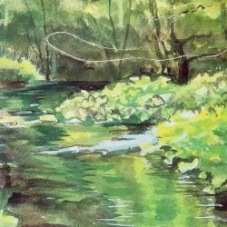 Fly Fishing / Angling Collection