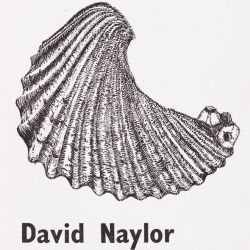 David (Dave) Naylor - Collection